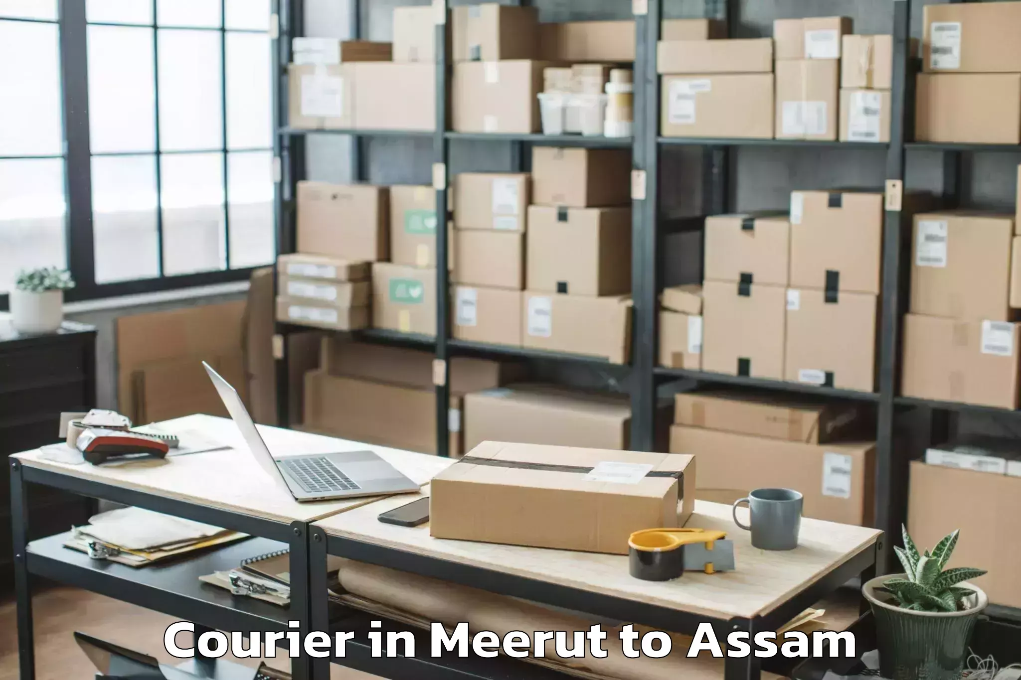 Professional Meerut to Katlicherra Courier